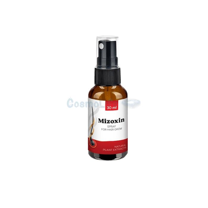 ✤ Mizoxin - produit de restauration capillaire